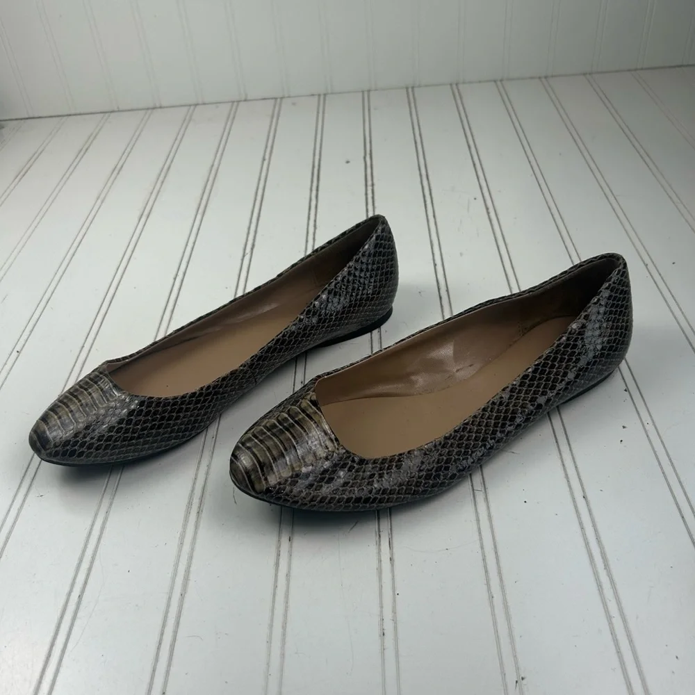 Ann Taylor ann taylor